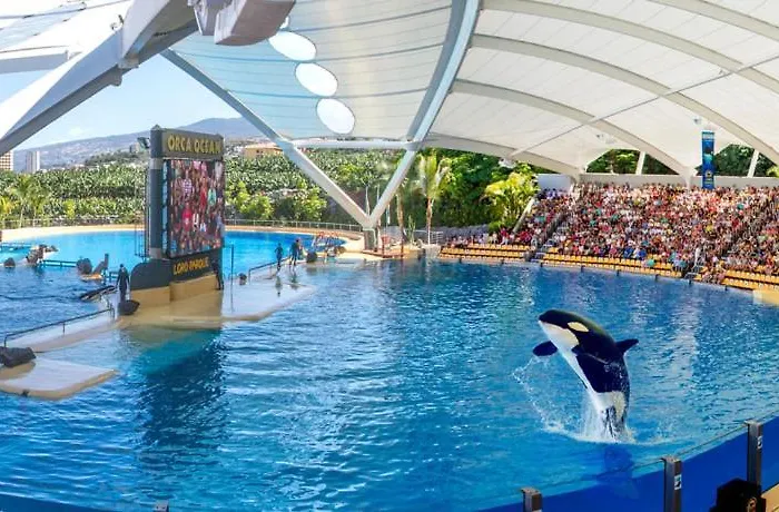 Casa Bonita Puerto de la Cruz (Tenerife)